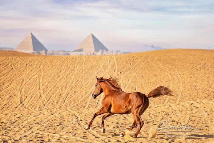 Sunrise Horse Ride Around Giza Pyramids
