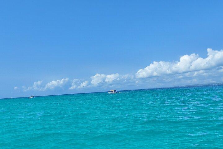 Mnemba Island Snorkeling and Dolphin tour