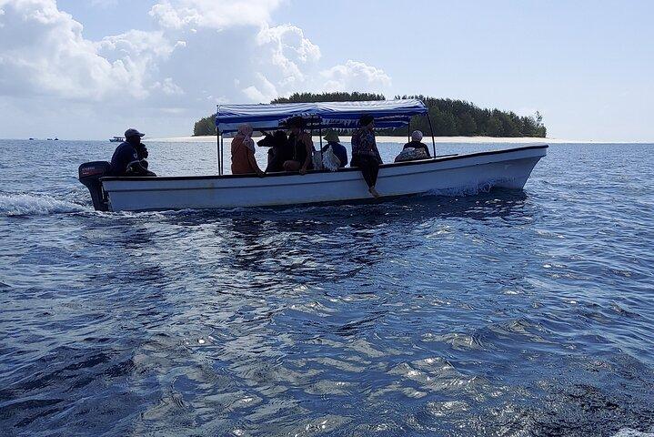 Mnemba Island Snorkeling and Dolphin tour