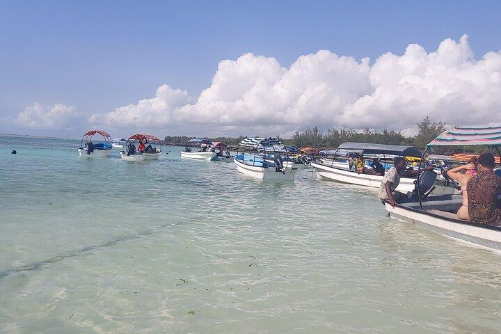 Mnemba Island Snorkeling and Dolphin tour