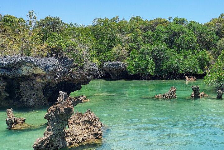 Safari Blue Zanzibar