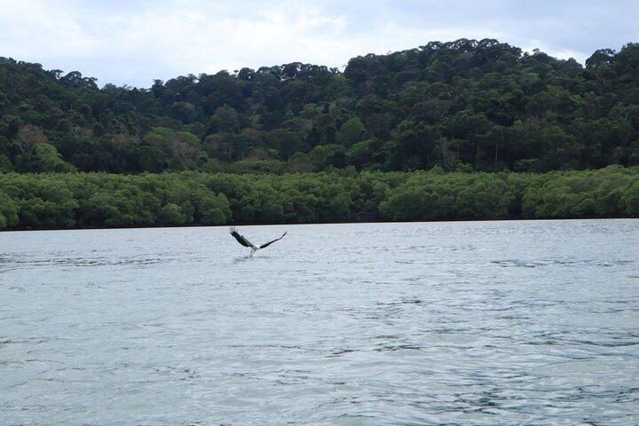 JungleWalla Langkawi Southern Island Geopark Private Tour