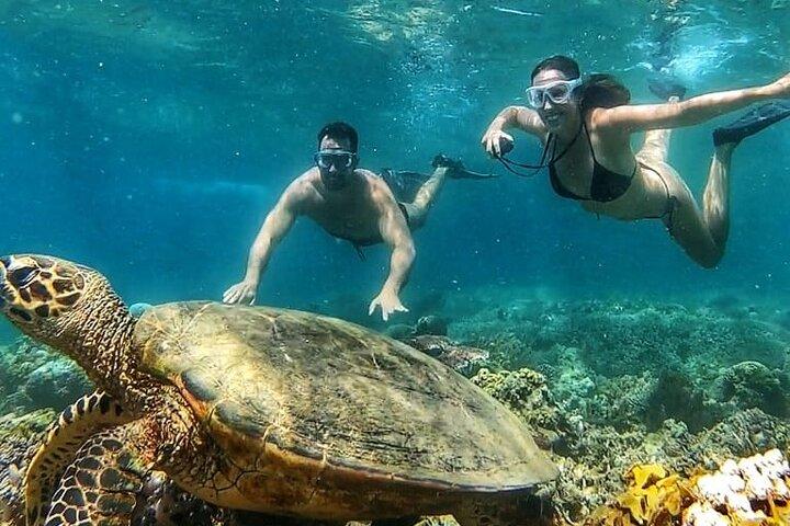 Gili Air : Private Snorkeling with 4 spots