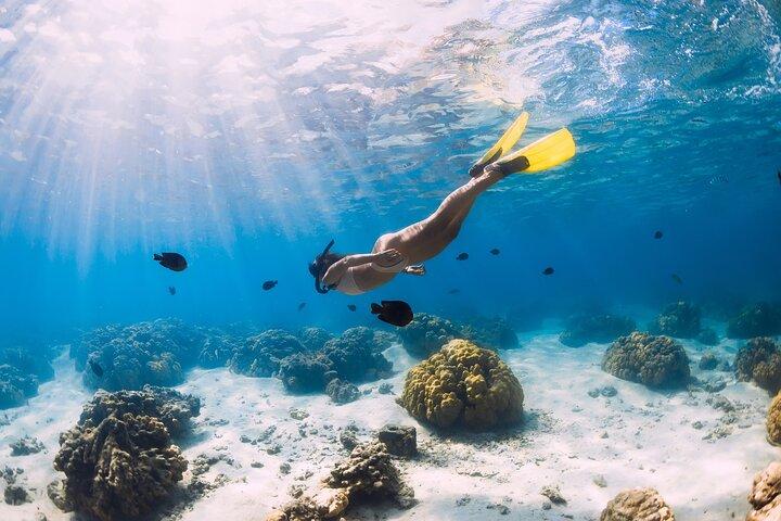 Gili Air : Private Snorkeling with 4 spots