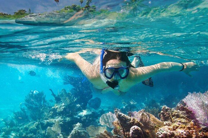 Gili Air : Private Snorkeling with 4 spots