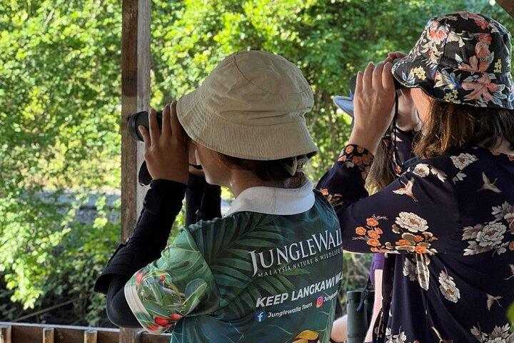 JungleWalla Langkawi Birdwatching Tour