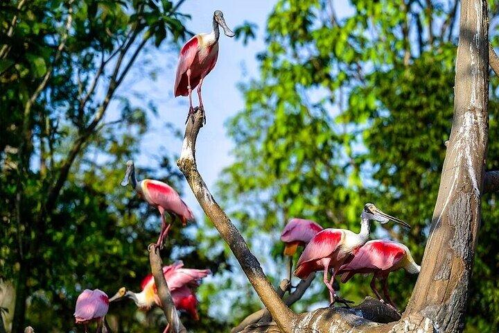 Singapore Bird Paradise E-Tickets