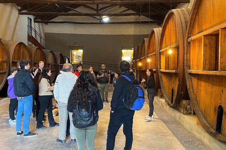 Maipu Tour 3 wineries with lunch + olive all inclusive!