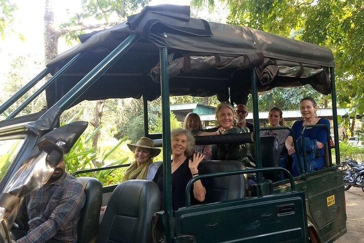 2 Day Bandipur Safari and Mysore Palace Tour