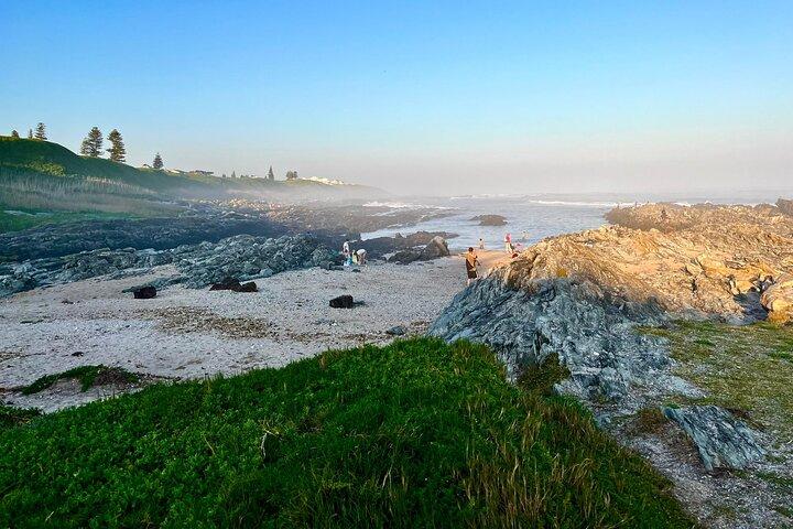 Kragga Kamma Game Drive and Scenic Coastal Tour in Port Elizabeth
