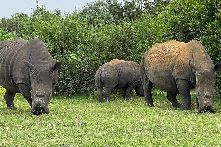 Kragga Kamma Game Drive and Scenic Coastal Tour in Port Elizabeth