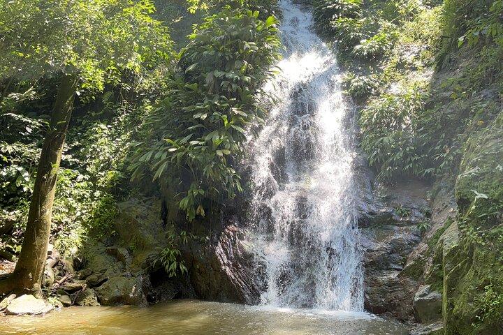 Minca Coffee Tour, Cocoa Tour and Waterfalls