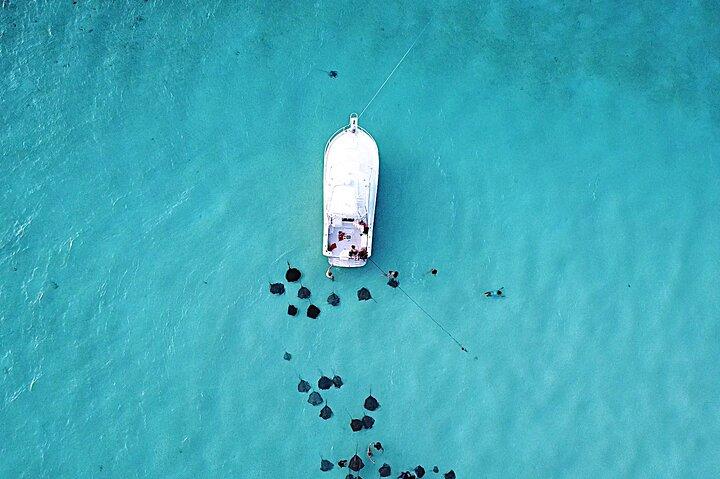 Private Charter 34ft Express Cruiser Stingay City Reef Snorkeling