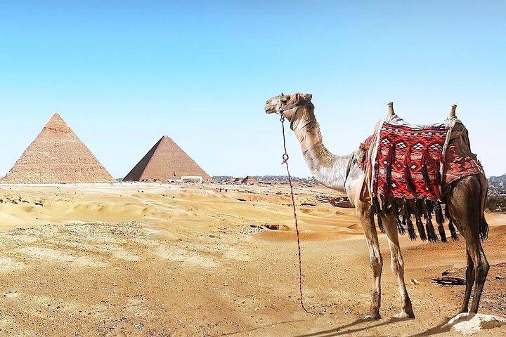 Private Pyramids Tour With an English Guide