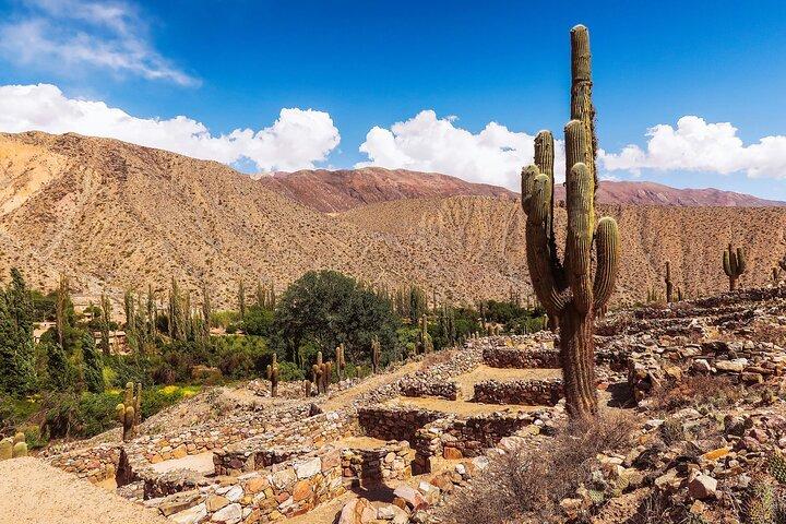 Tour to Cachi from Salta