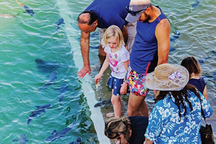 Darwin: Feed Fish at Aquascene. Tickle Your Toes at Doctors Gully