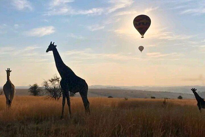 Air Ballooning Safari Experience from Johannesburg and Pretoria