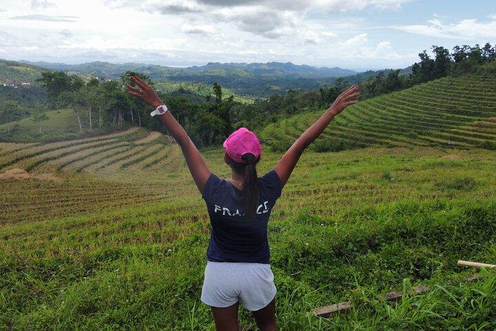 Can-umantad Falls and candijay rice terraces Eco Tour