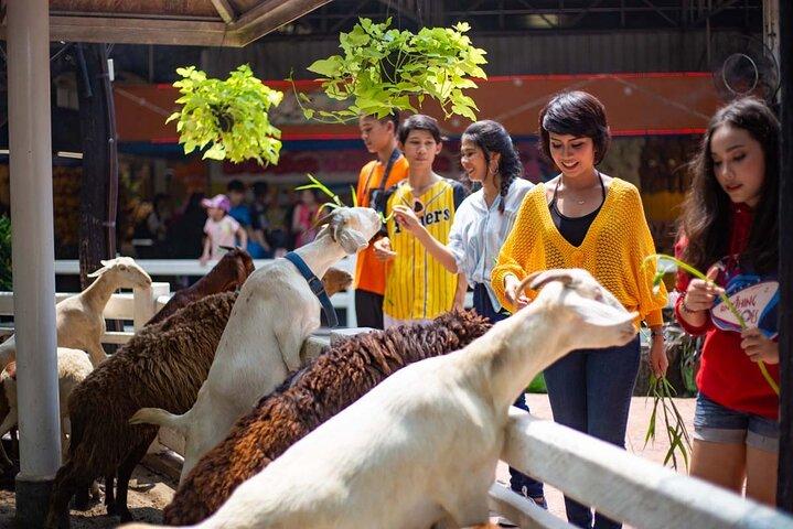 Dream World Bangkok Amusement Park Unlimited Ride & Snow Town