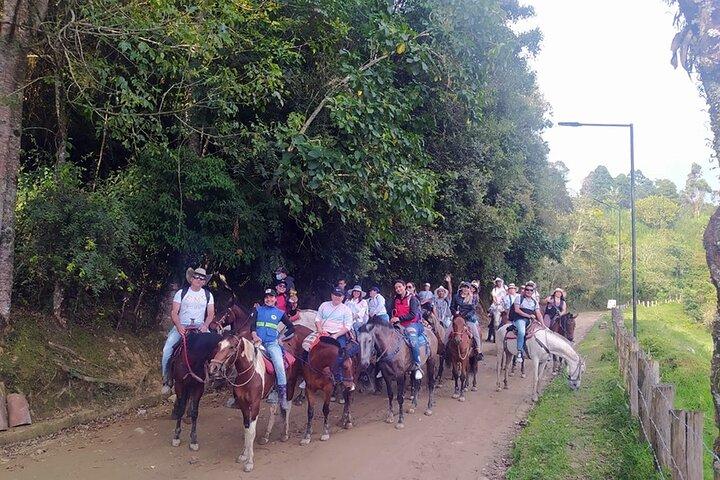 Horseback riding coffee farms, forest and river boquerón