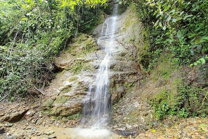 Horseback riding to the viewpoints and the Sestillal waterfall in Salento
