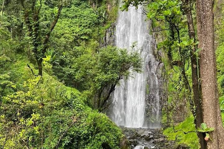 Materuni Waterfalls & Coffee Tour with Optional Hot Springs