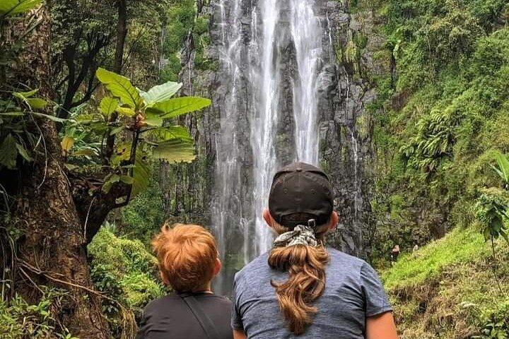 Materuni Waterfalls & Coffee Tour with Optional Hot Springs