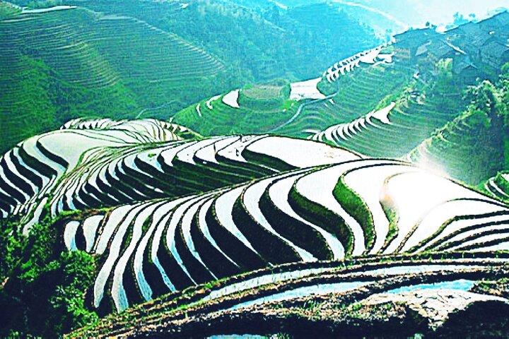 Small Group: Longji Rice Terraces & Minority Village Tour