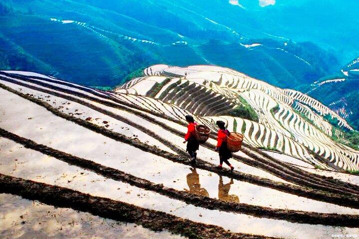 Small Group: Longji Rice Terraces & Minority Village Tour