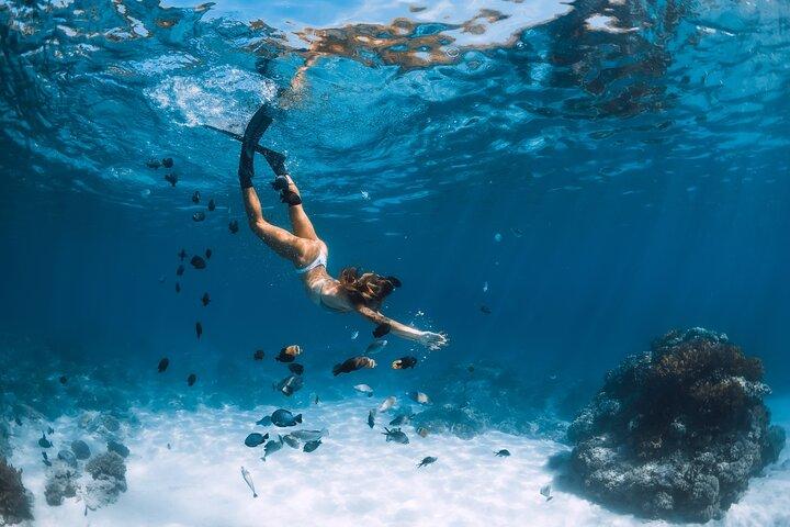 Los Cabos Power Snorkel Adventure, Kayaking and Stand-Up Paddle