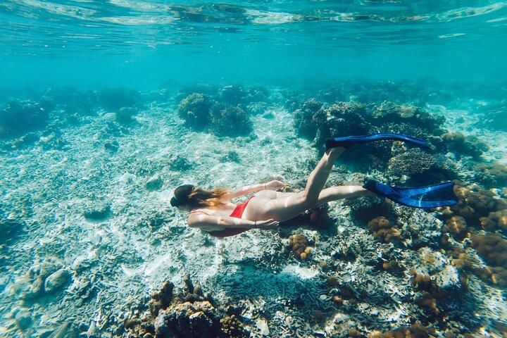 La Paz World Class Snorkeling in Balandras Hidden Beaches