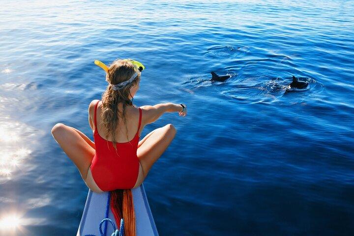 Lovina Watching Swimming with Dolphins and Snorkeling