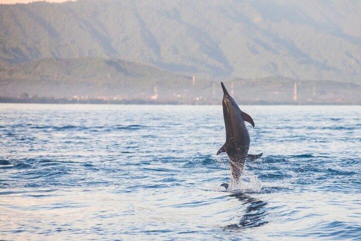 Lovina Watching Swimming with Dolphins and Snorkeling