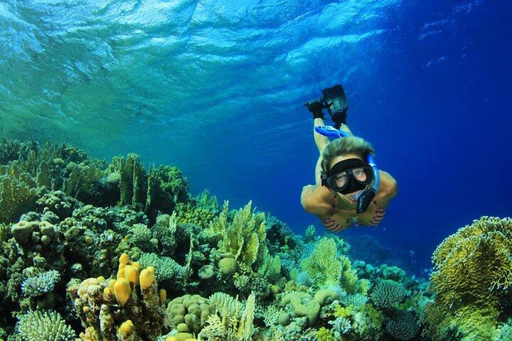 Dahab Safari from Sharm El sheikh Canyon Salama and Blue Hole