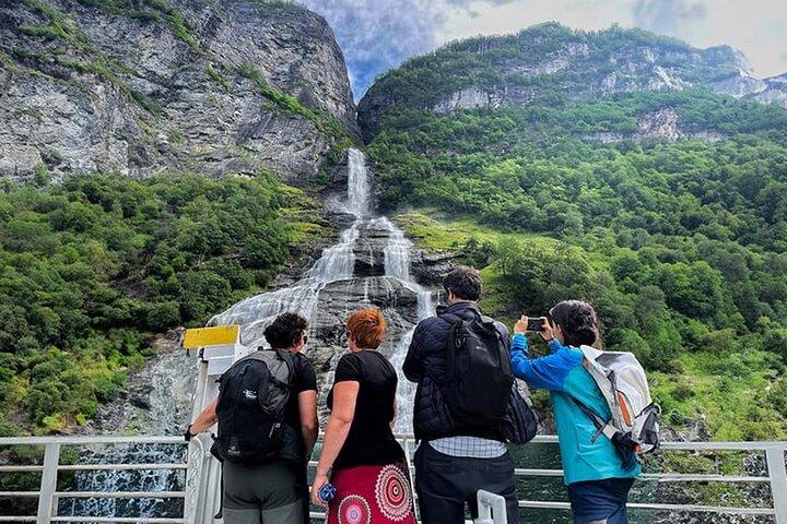 Geiranger Fjord Tour with Waterfall Tasting