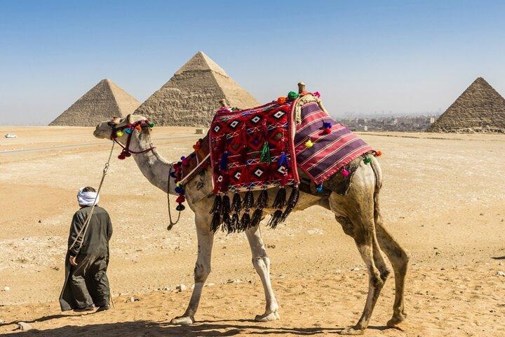 Private Half Day Giza Pyramids Tour with camel & Lunch
