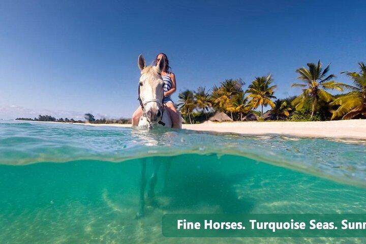 Private Tour Horseback Riding from Ocho Rios or Runaway Bay
