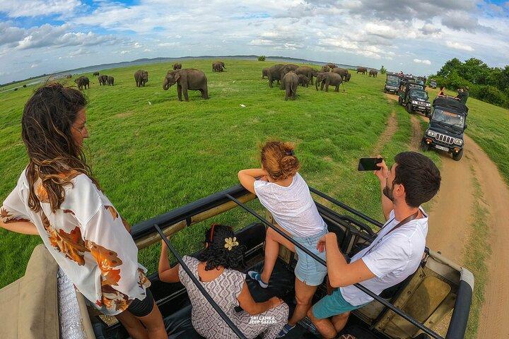 Sigiriya Lion Rock & Evening Safari Full Day Private Tour