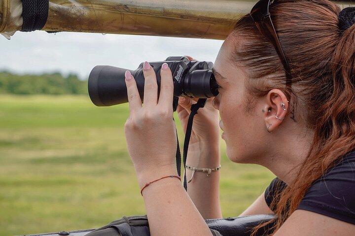 Sigiriya Lion Rock & Evening Safari Full Day Private Tour