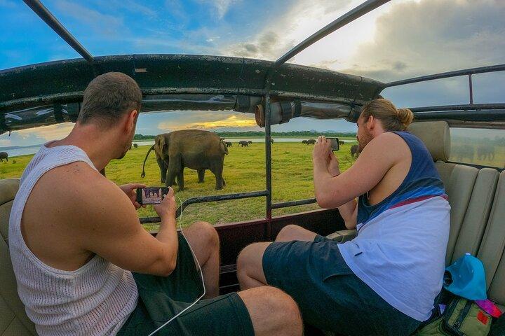 Minneriya National Park Half Day Elephant Safari