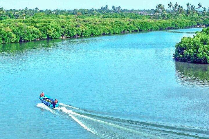 Half Day Tour to Muthurajawela, Lagoon, Dutch Canal and Mangroves
