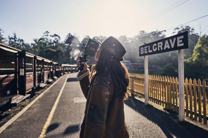 Puffing Billy Steam Train and Penguins Wildlife Tour