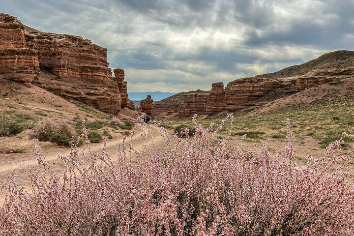 Kolsai, Kaindy Lakes and Charyn Canyon Small-Group Tour