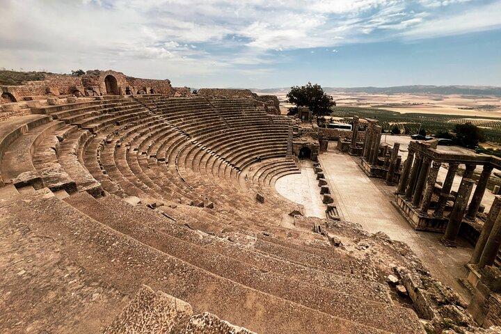 Private Day Trip to Bulla Regia and Dougga