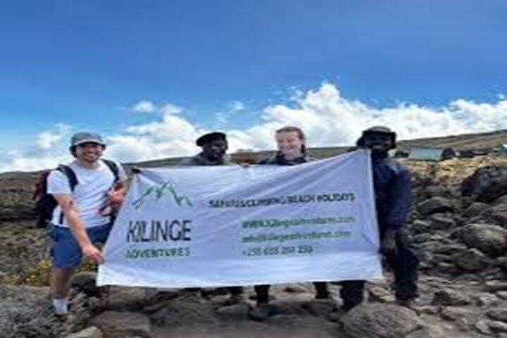 Best Kilimanjaro hiking day trip tour From Arusha/Moshi