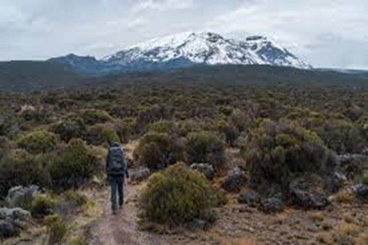 Best Kilimanjaro hiking day trip tour From Arusha/Moshi