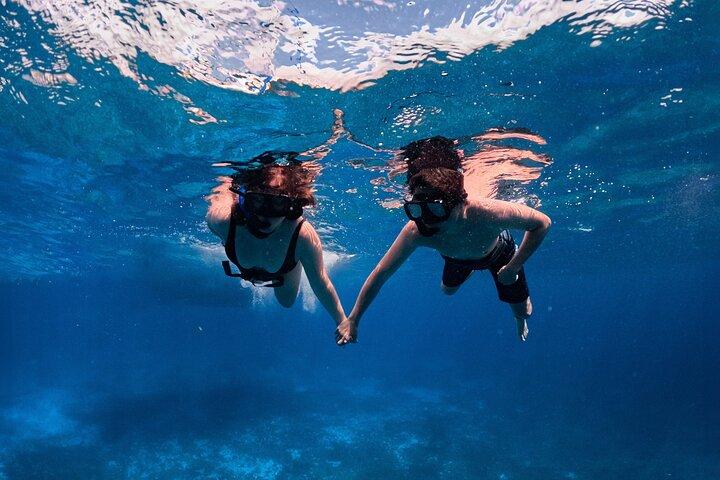 Cozumel Private Yacht and Snorkel with Lunch and Open Bar Onboard