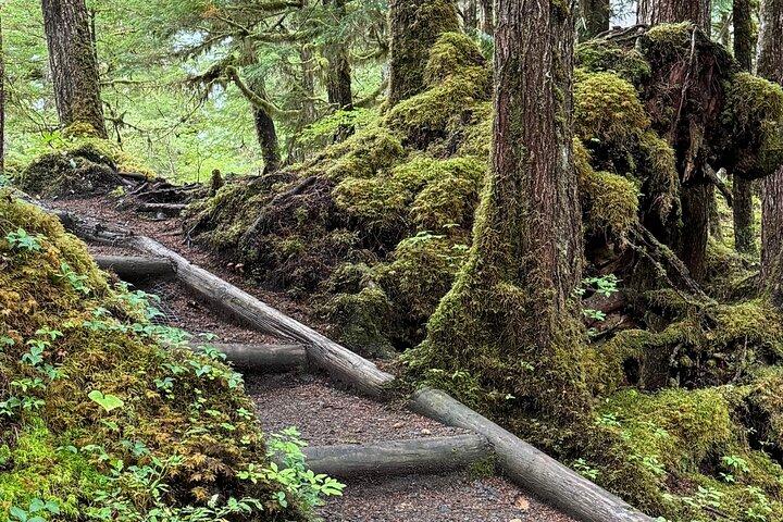 Small-Group Rainforest Hiking Adventure- Ketchikan Excursion