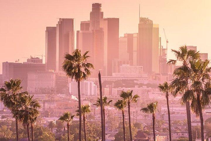 Private Arrival Transfer from LAX Airport to Los Angeles Hotels