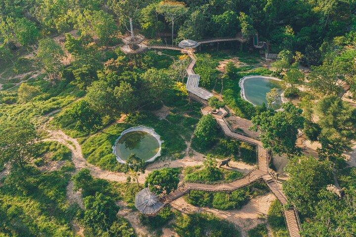 Samui Elephant Kingdom Ethical Sanctuary and Skywalk Tour